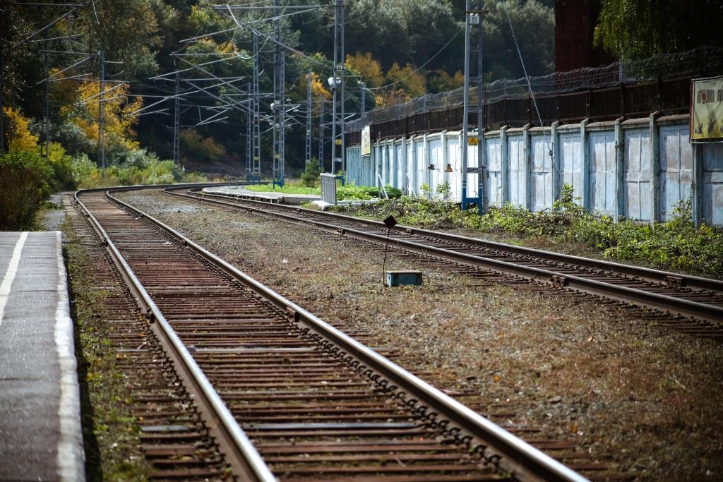 Краевые власти хотят запустить скорые поезда от Перми до Кунгура и Краснокамска