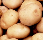 Производство картофеля в Пермском крае за 4 года увеличится в 3 раза