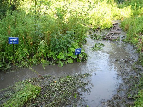 В пермскую речку Уинка льётся поток загрязнённых стоков неизвестного происхождения. Фото