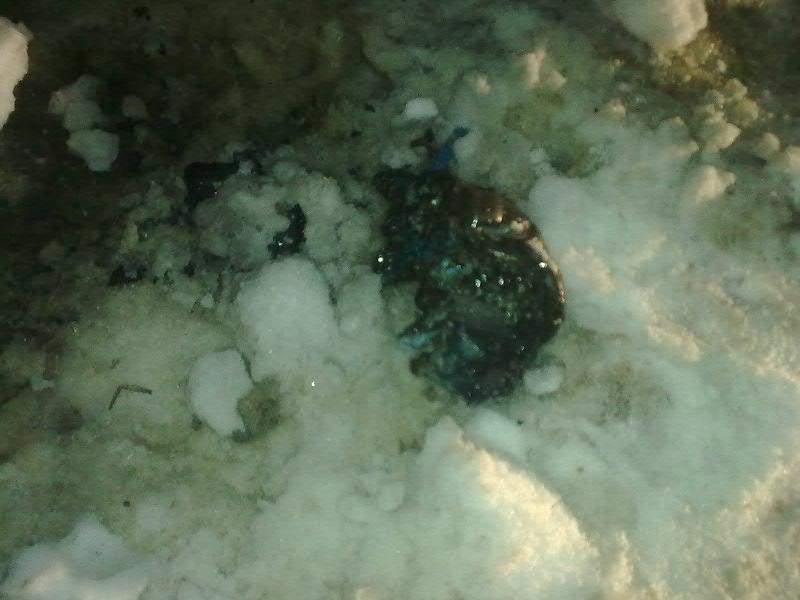 В Перми появились автопироманы. Фото