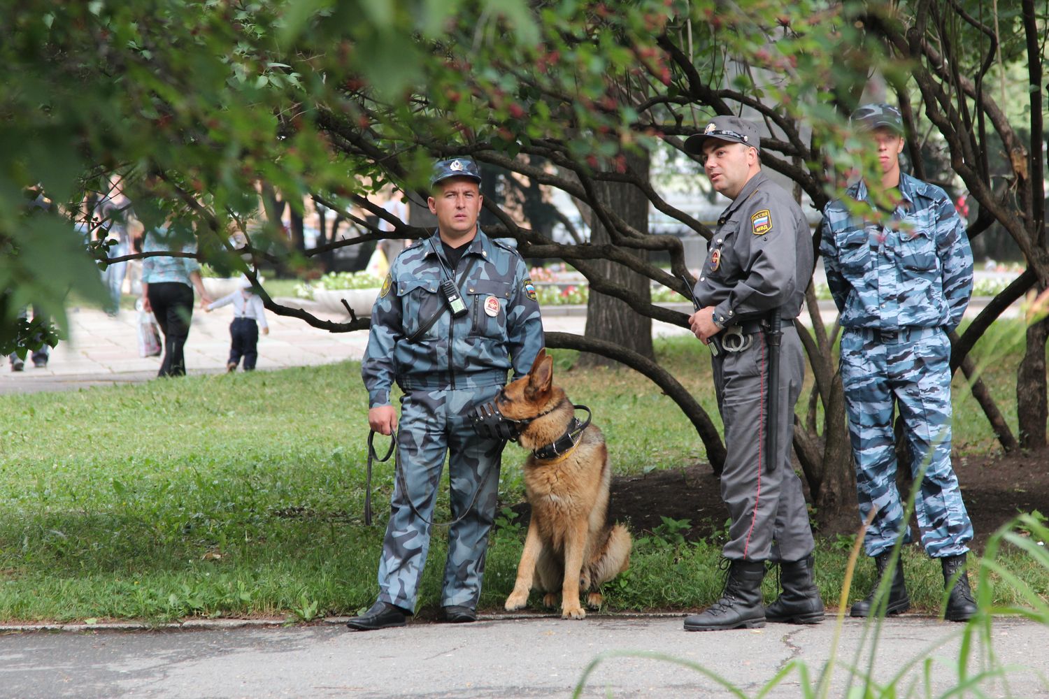Пермские сторонники Навального намерены собираться каждую неделю