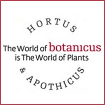 ТОП-7 франшиз, которые могут быть запущены в Прикамье - рейтинг Business Class