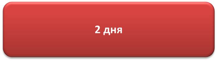 Отпраздновали отлично: пермский новый год в цифрах