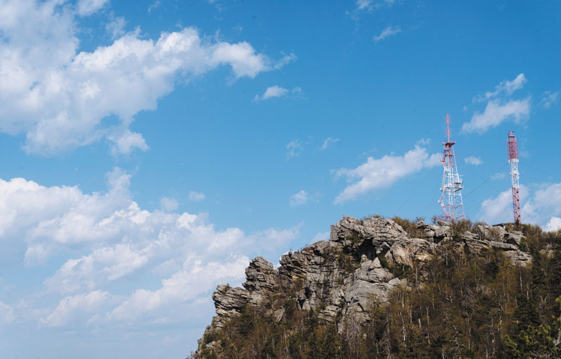 Самый дикий заповедник