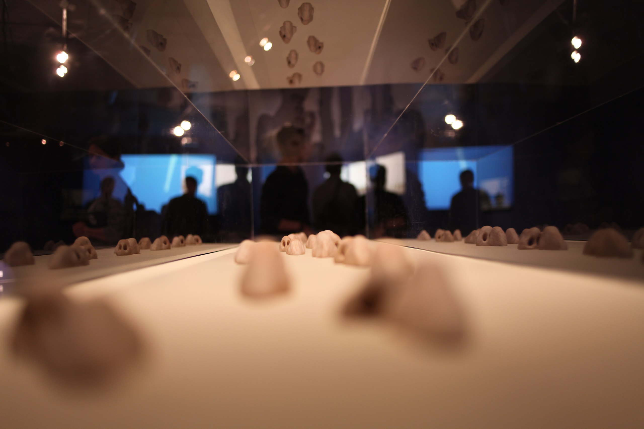 Чтение пейзажа: репортаж с новой выставки PERMM