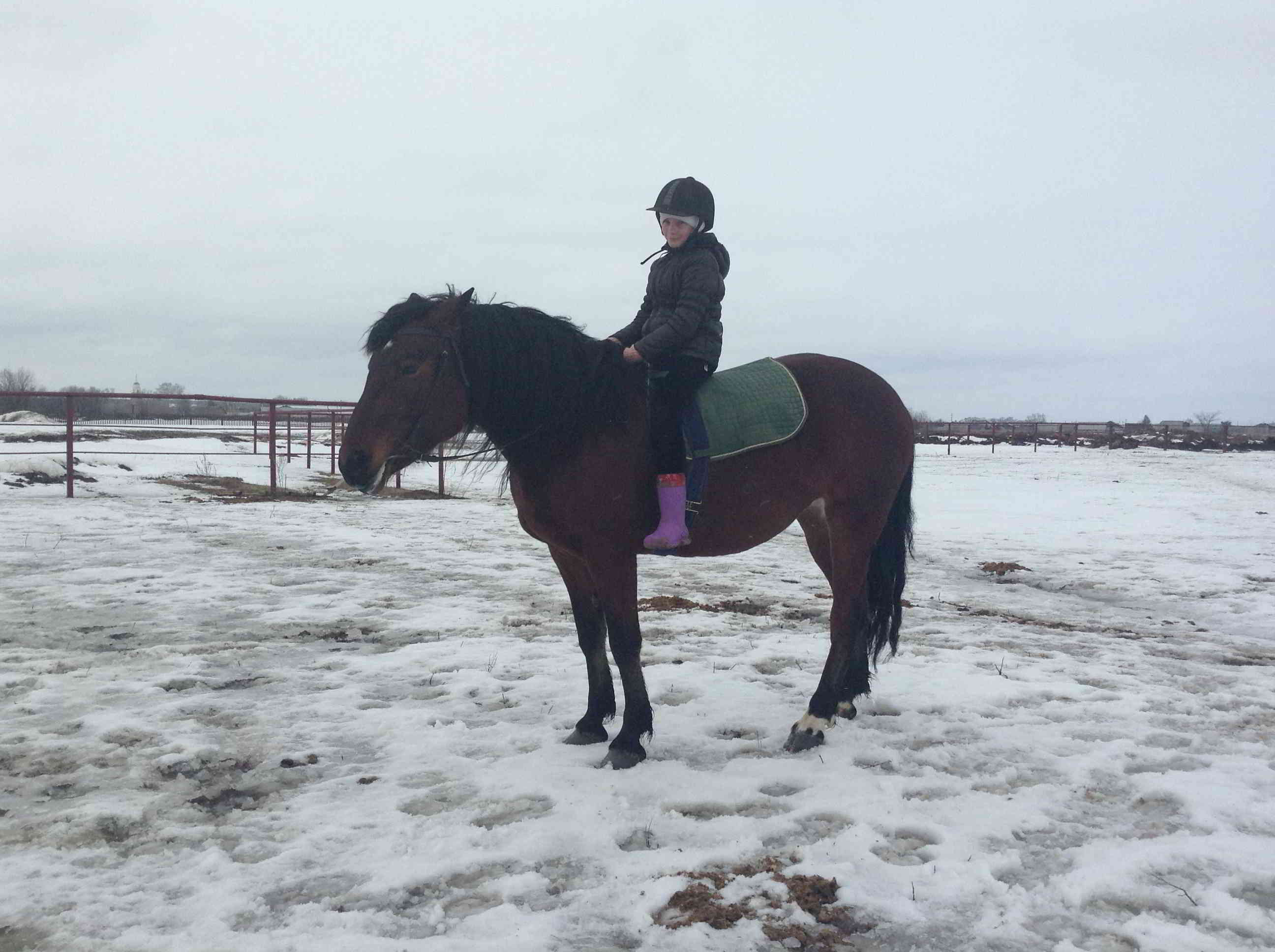 Деревня для туристов «Степаново городище» открывает весенний сезон скачками на пони