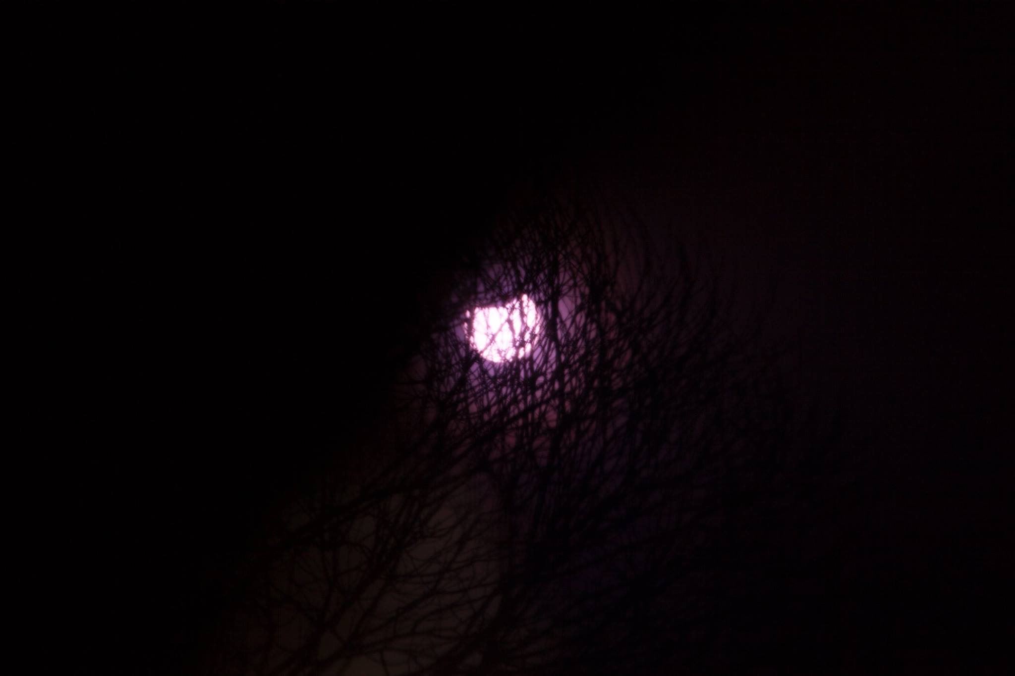 Пермяки посмотрели затмение