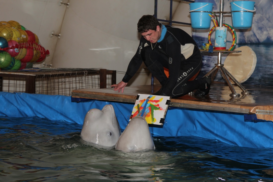 В диких условиях