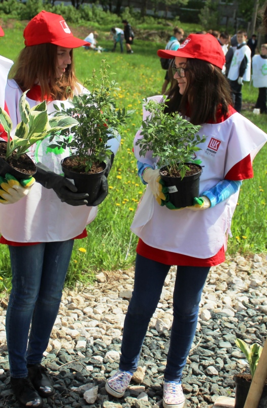 В Прикамье стартовали экологические акции от «Лукойла»