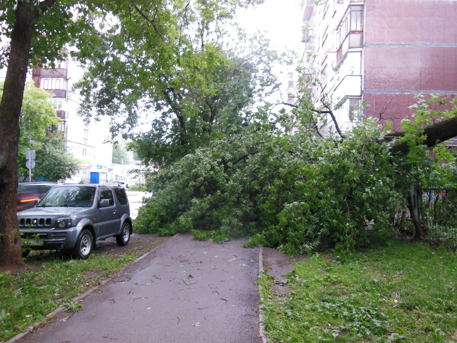 МЧС: неблагоприятные погодные явления в Перми могут повториться сегодня