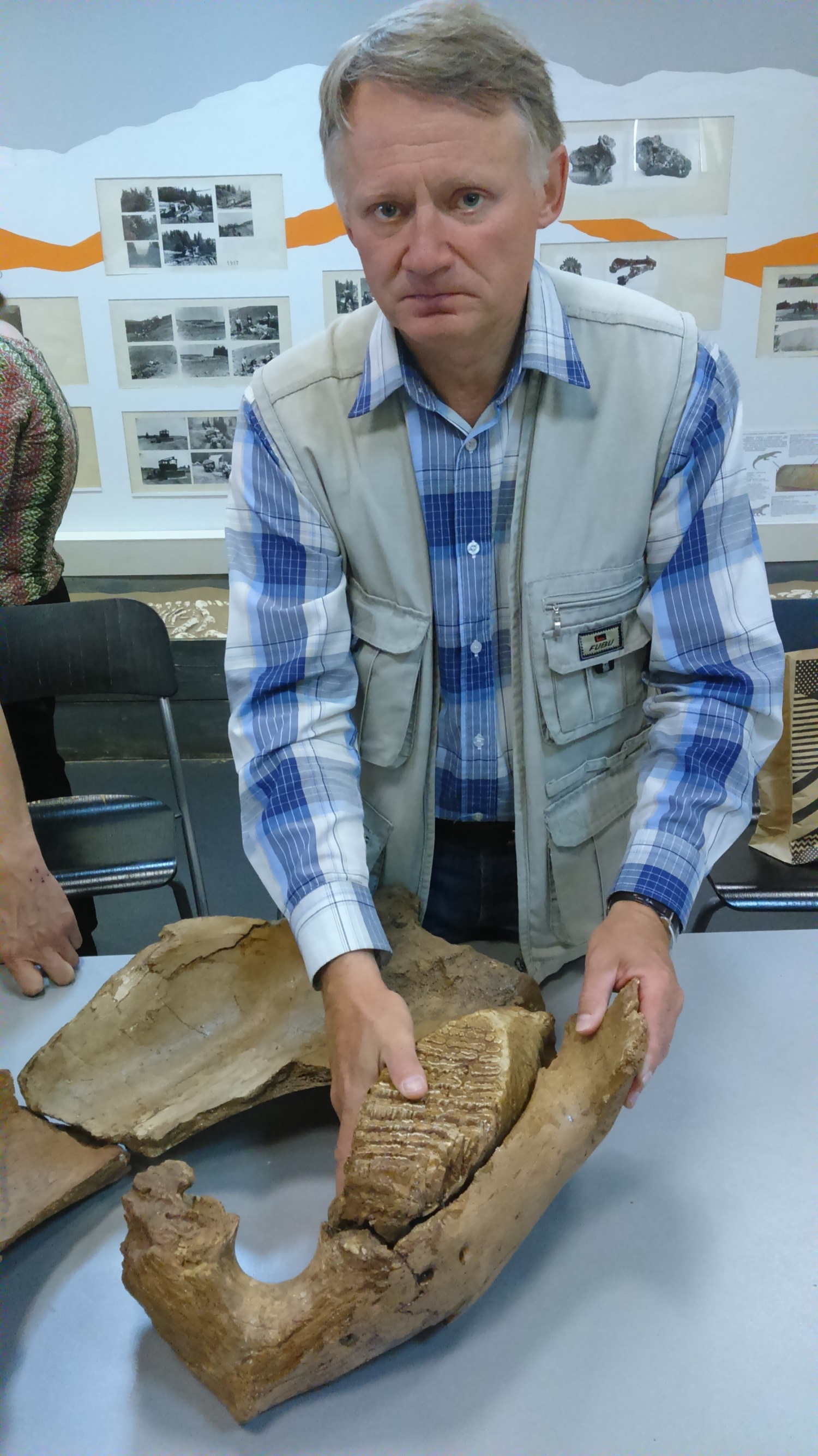 Прикамье – родина слонов. У пермского мамонта нашелся родственник в Оханске