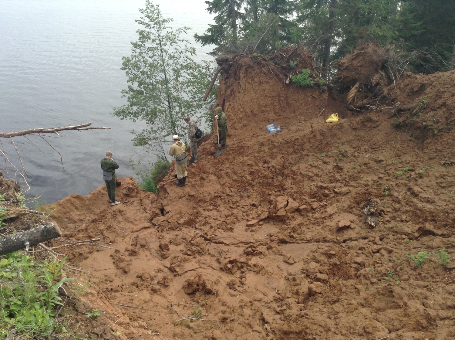 Прикамье – родина слонов. У пермского мамонта нашелся родственник в Оханске