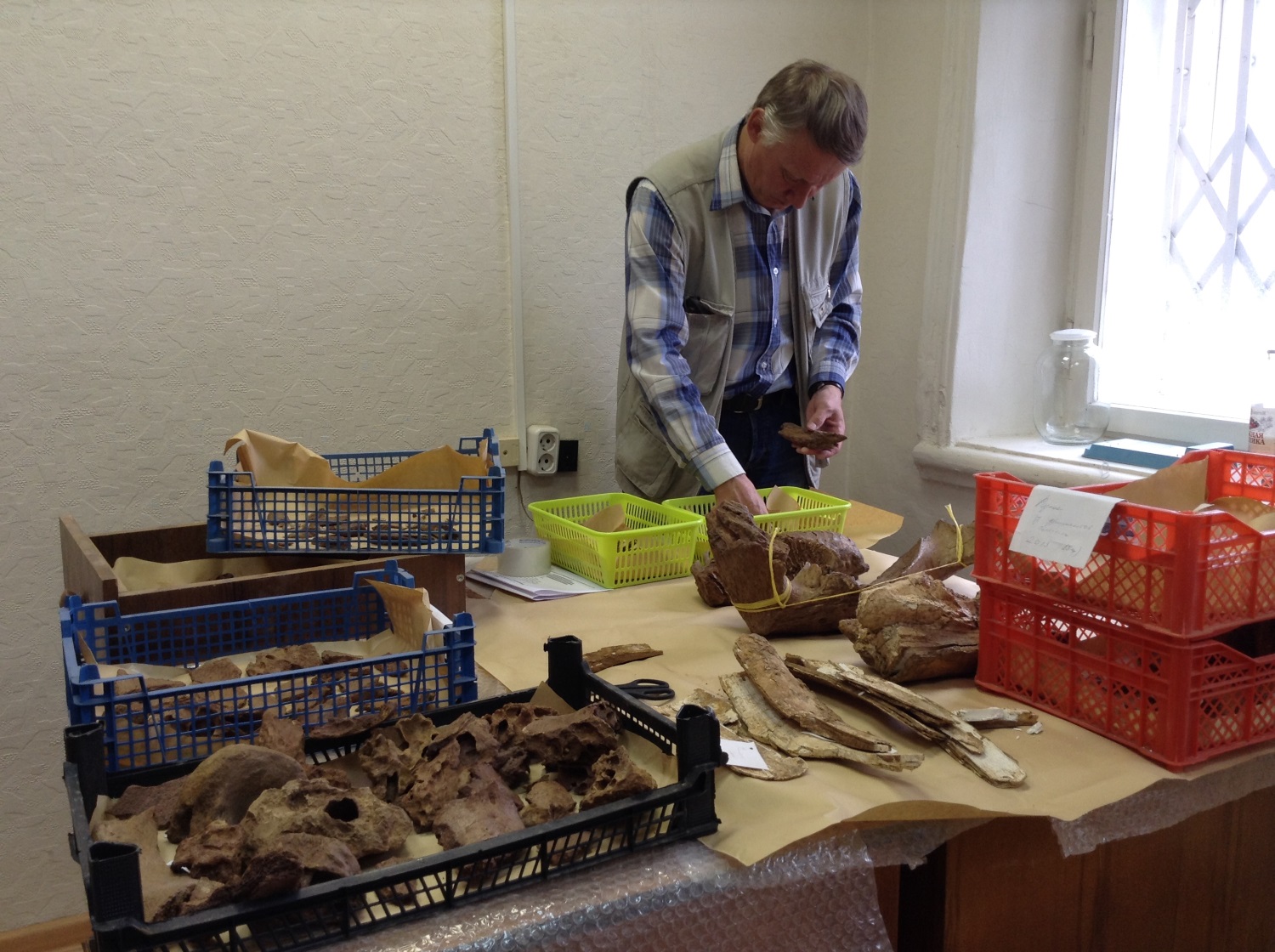 Прикамье – родина слонов. У пермского мамонта нашелся родственник в Оханске