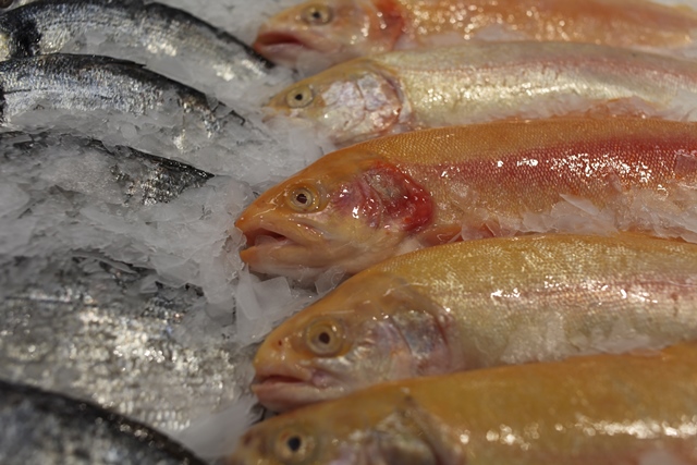 Расти рыбка большая, расти малая