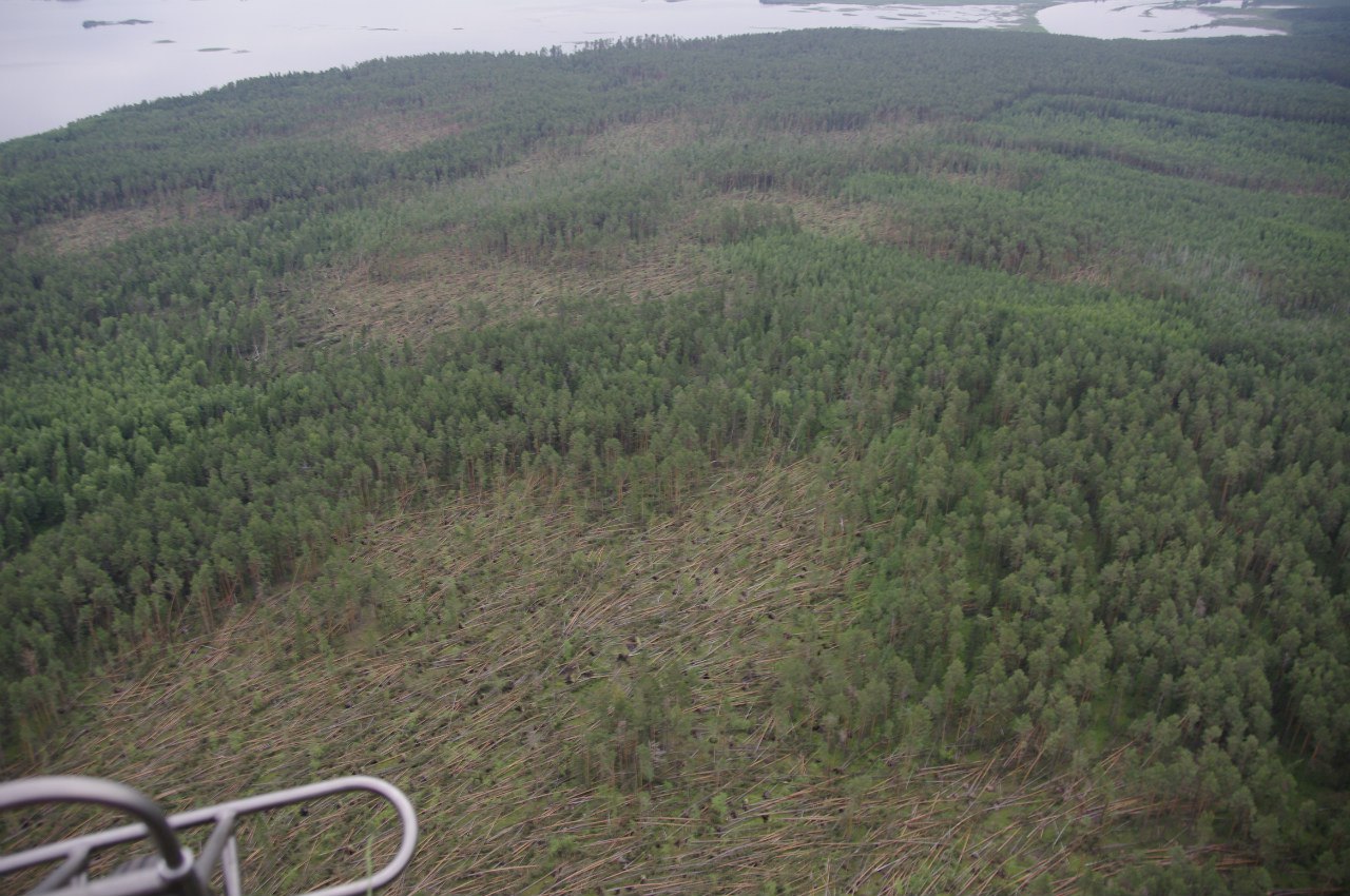 Березниковское лесничество сняло последствия разрушительного шквала с беспилотника