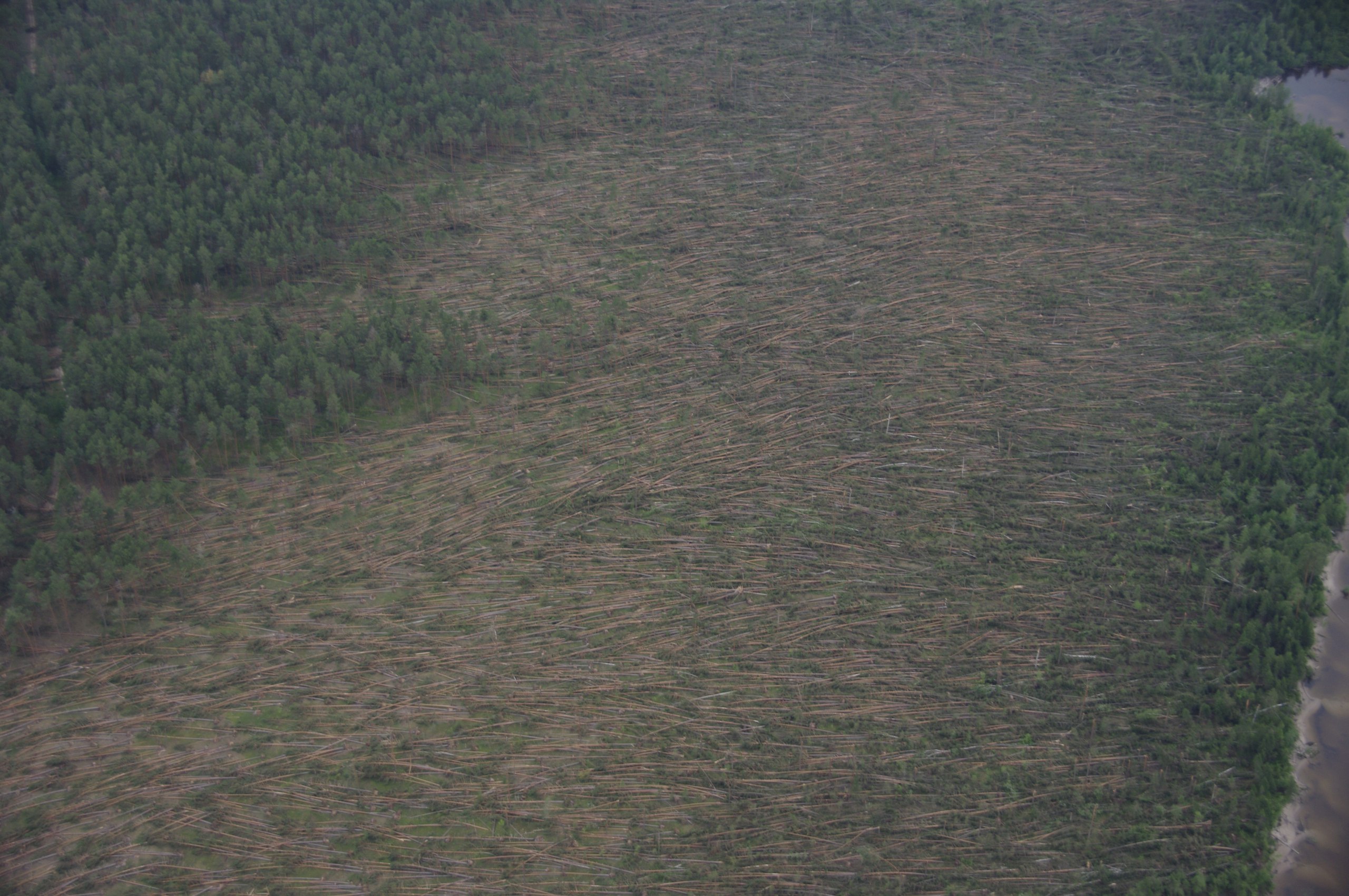 Березниковское лесничество сняло последствия разрушительного шквала с беспилотника