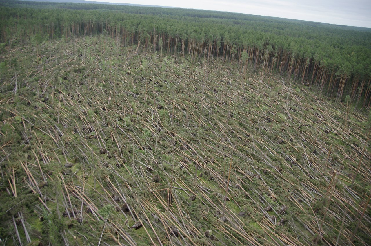 Березниковское лесничество сняло последствия разрушительного шквала с беспилотника