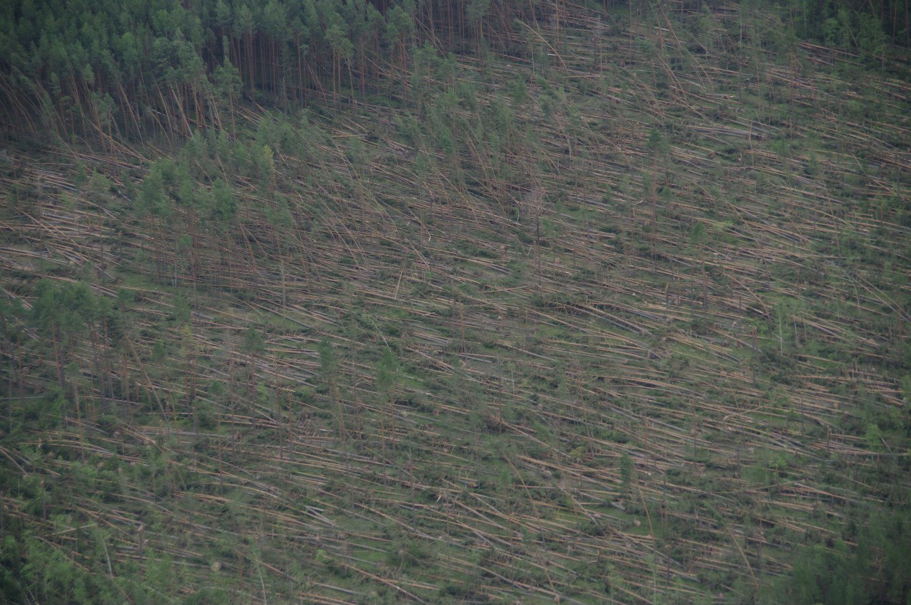 Березниковское лесничество сняло последствия разрушительного шквала с беспилотника