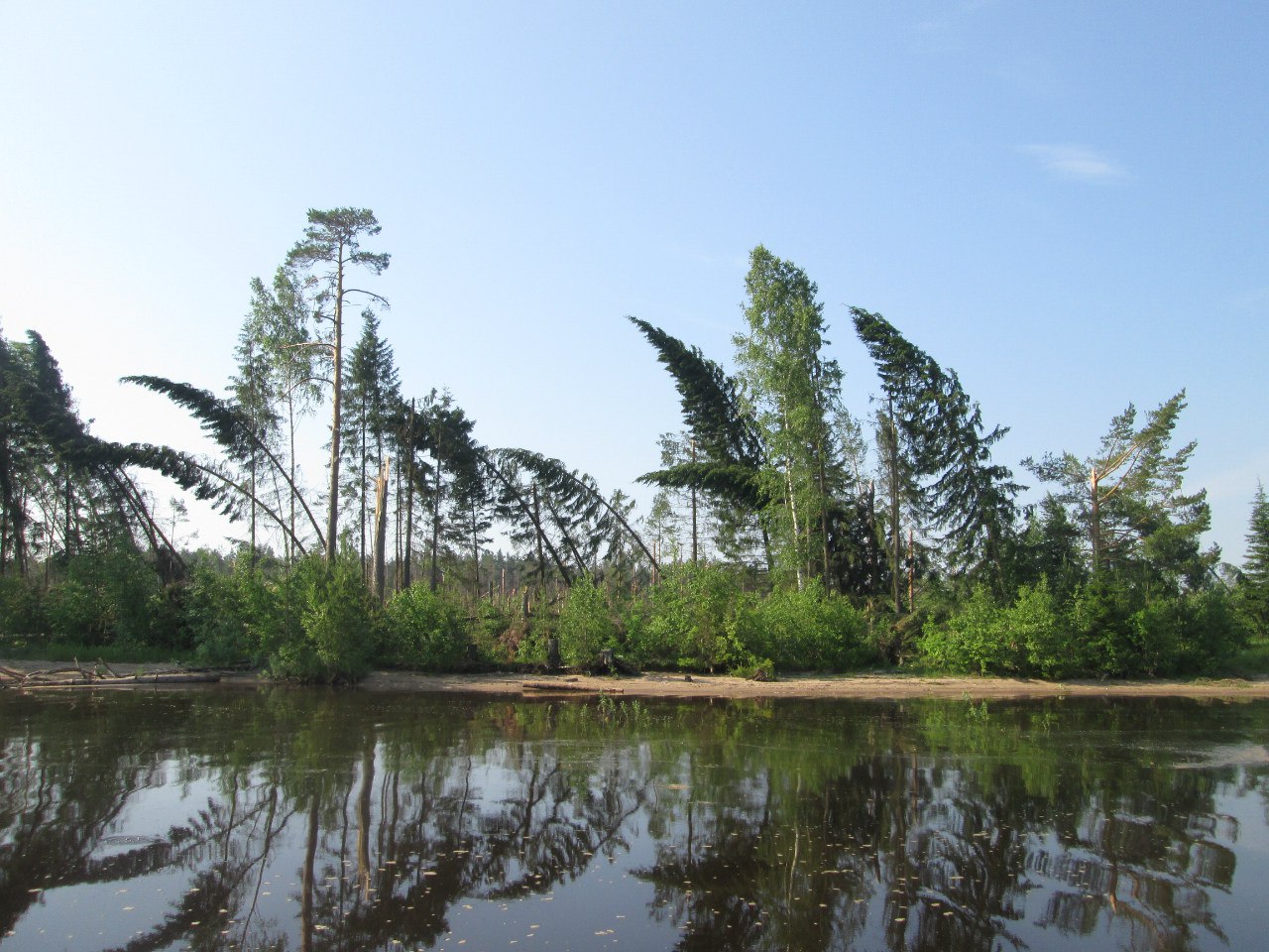 Березниковское лесничество сняло последствия разрушительного шквала с беспилотника