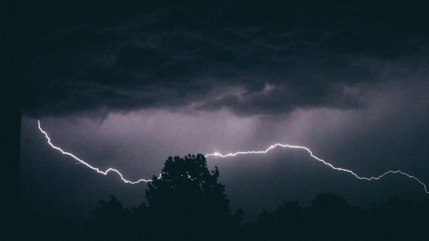 Остановите пленку. История пермского лета в 20 кадрах фотокорреспондента Business Class