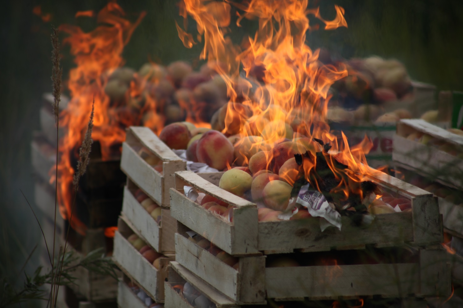 Остановите пленку. История пермского лета в 20 кадрах фотокорреспондента Business Class