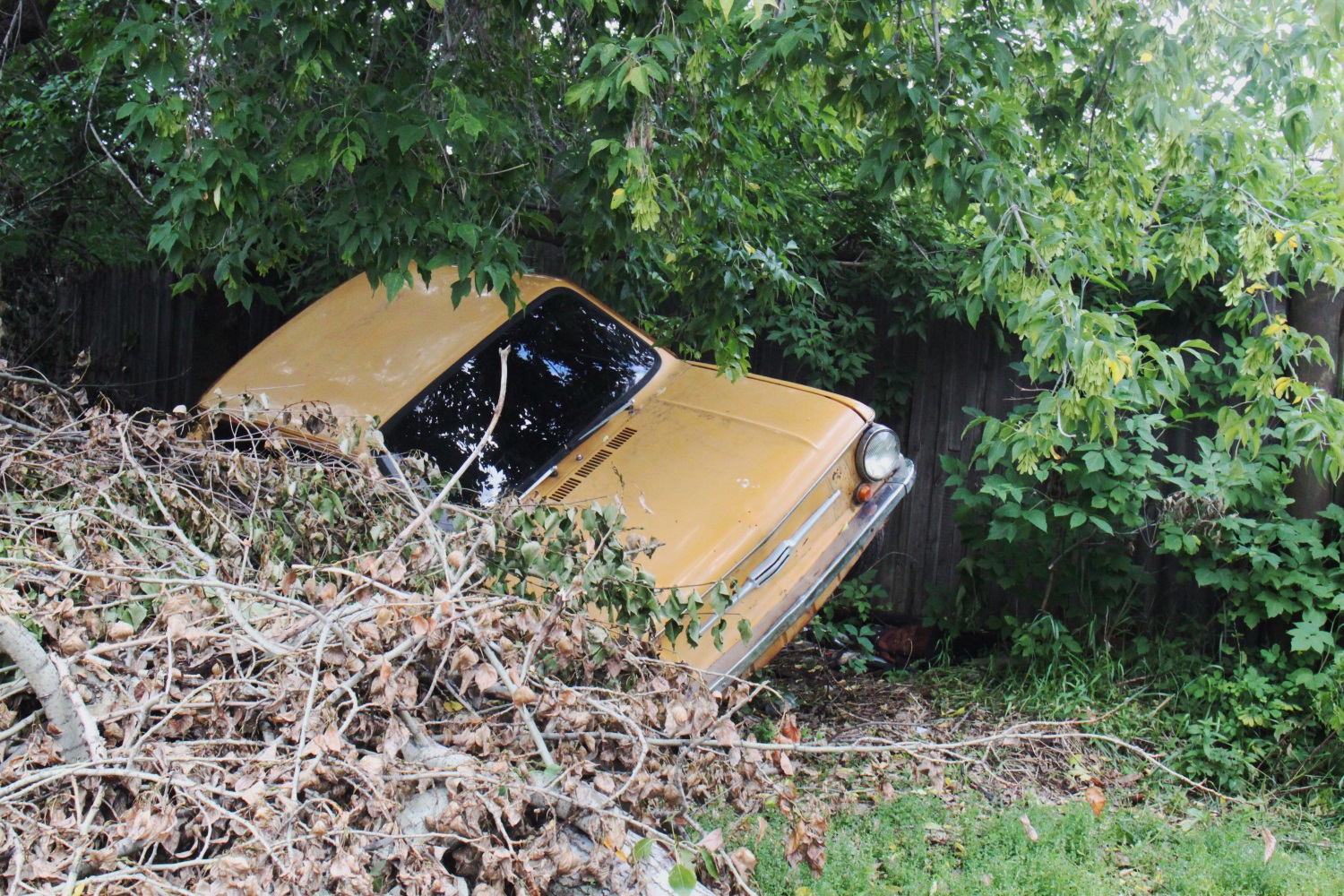 Остановите пленку. История пермского лета в 20 кадрах фотокорреспондента Business Class