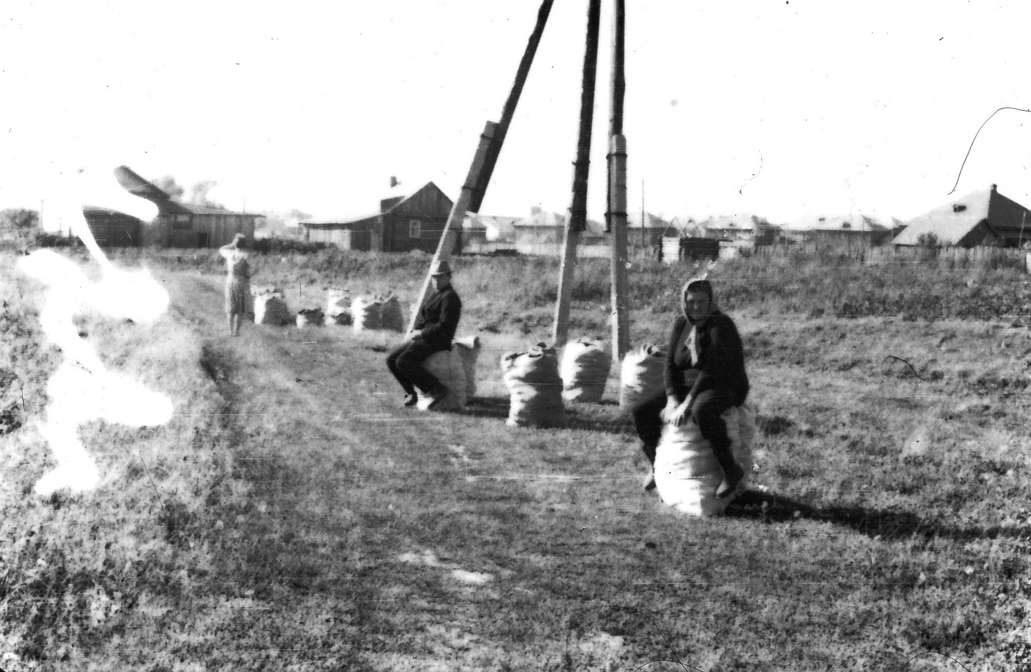 Все на картошку! Business Class вспоминает о советской осенней традиции