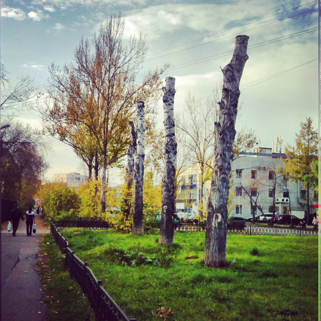 Пермское «осеннее лето» в Instagram