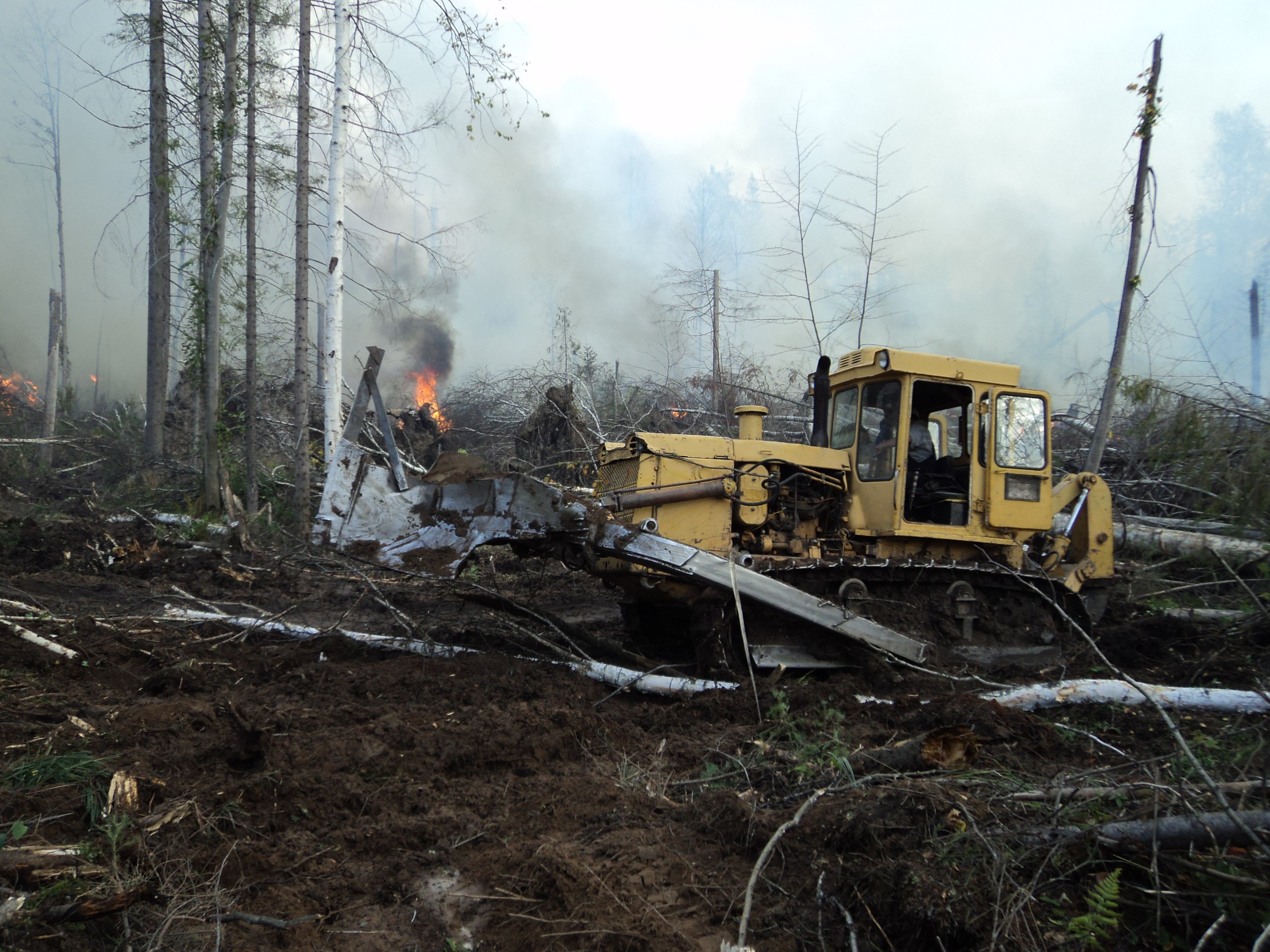 ​В Чайковском районе локализован пожар, охвативший 2,7 га леса