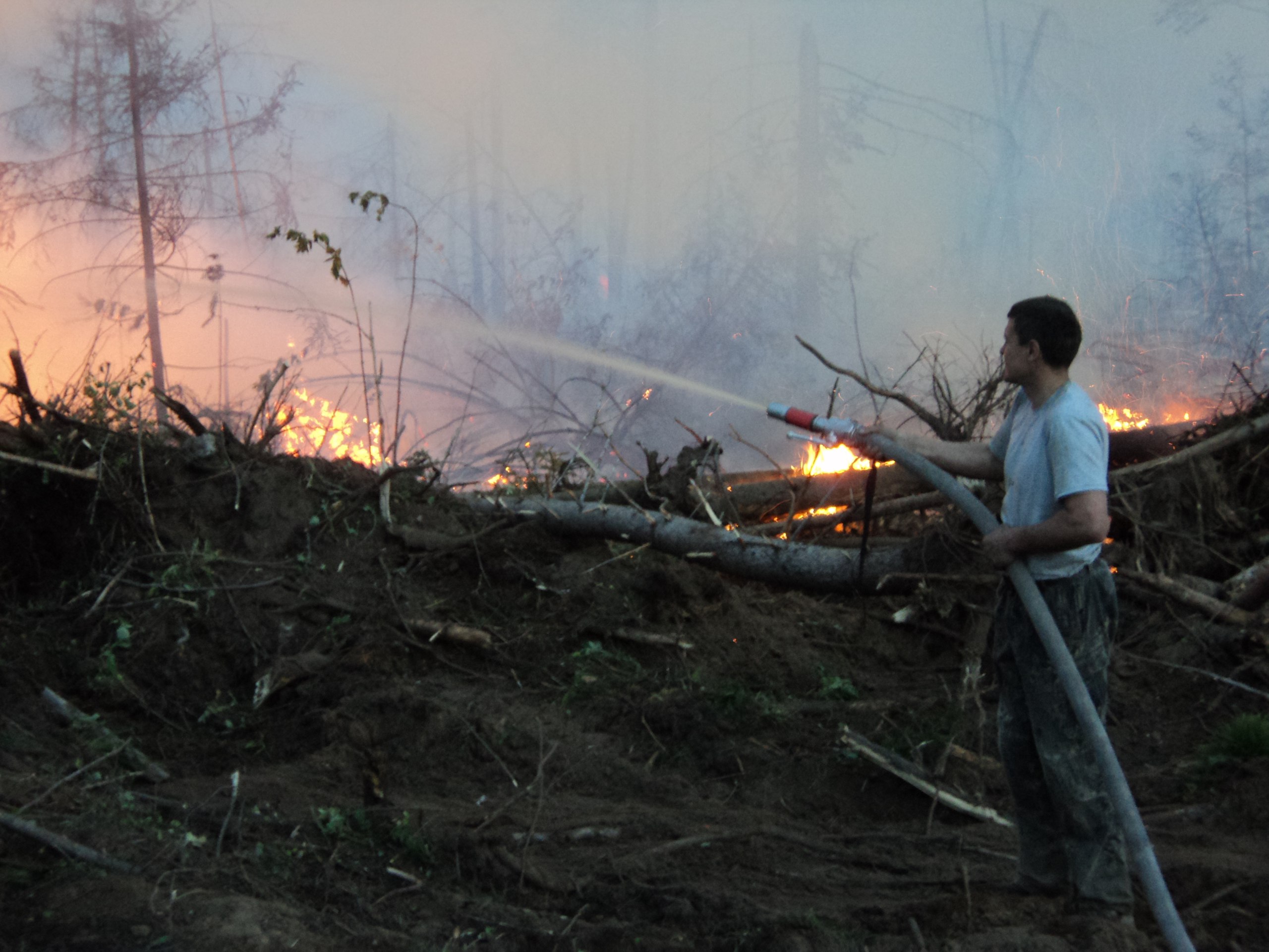 ​В Чайковском районе локализован пожар, охвативший 2,7 га леса