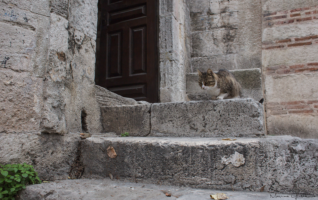 «Пакет» клином не сошелся