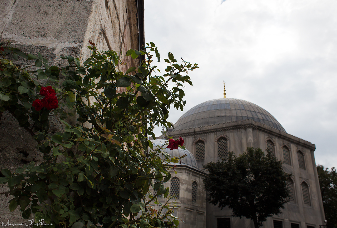 «Пакет» клином не сошелся