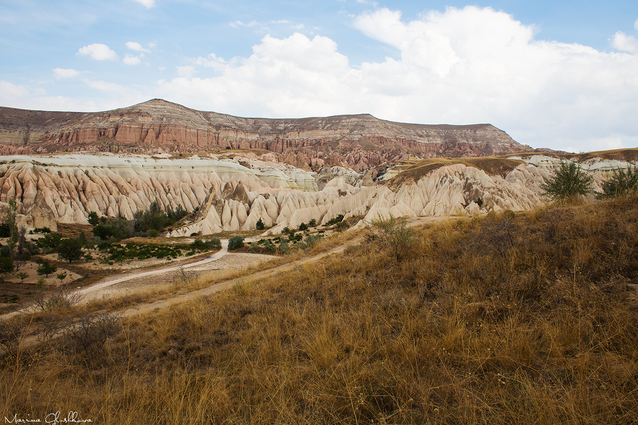 «Пакет» клином не сошелся