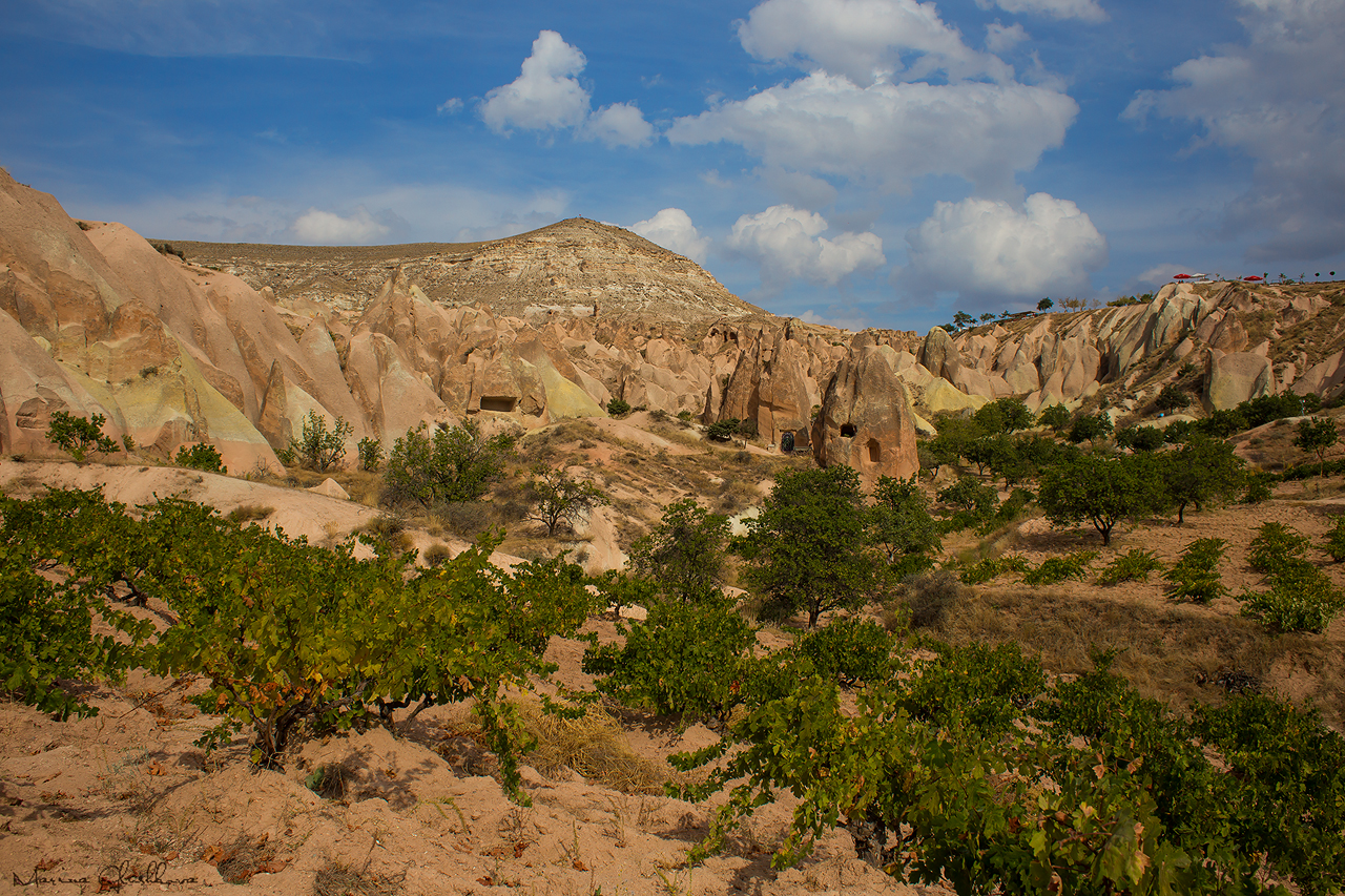 «Пакет» клином не сошелся