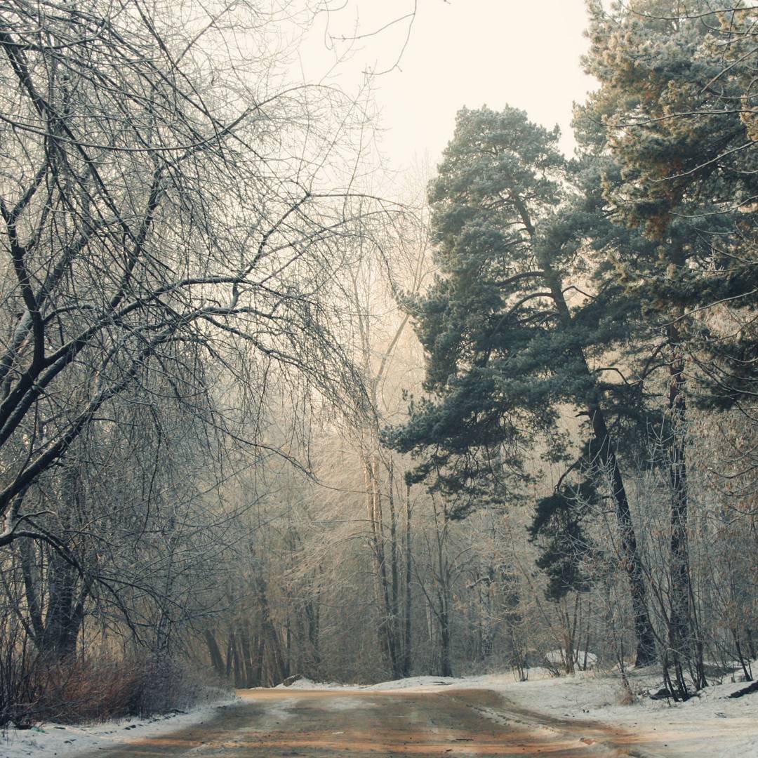 Больше снега! Зимний октябрь в фотографиях пермяков​