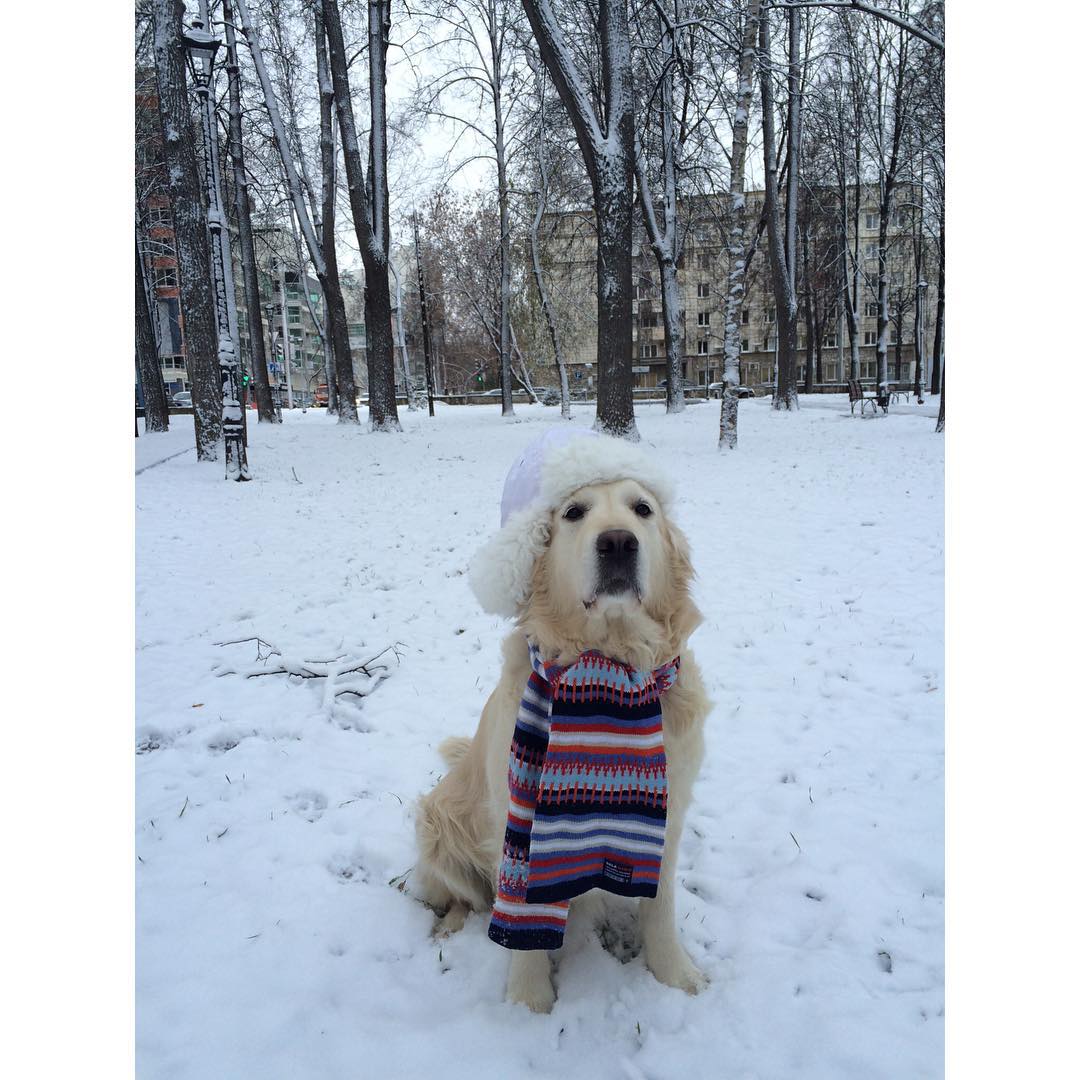 Больше снега! Зимний октябрь в фотографиях пермяков​