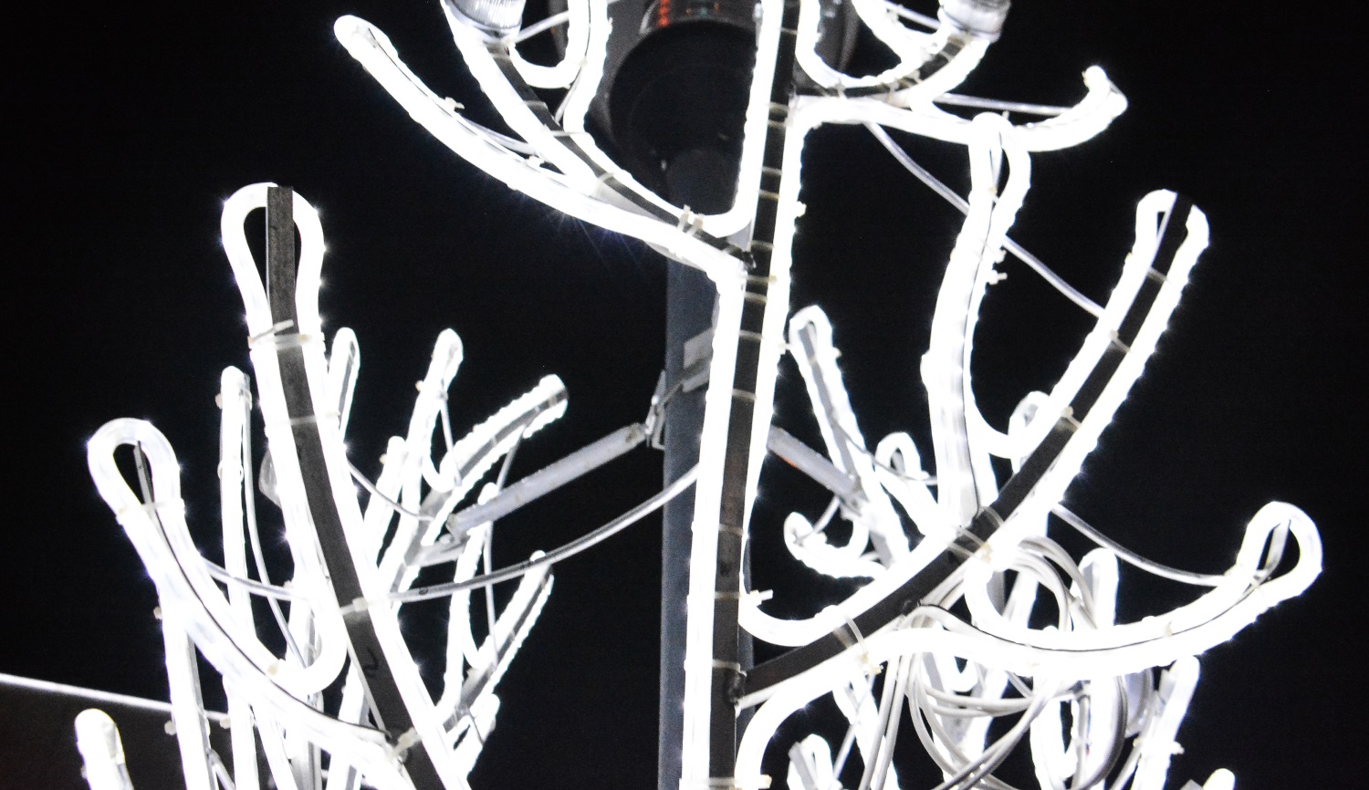 Фонари, елки и «райское дерево»: Пермь активно украшают к Новому году