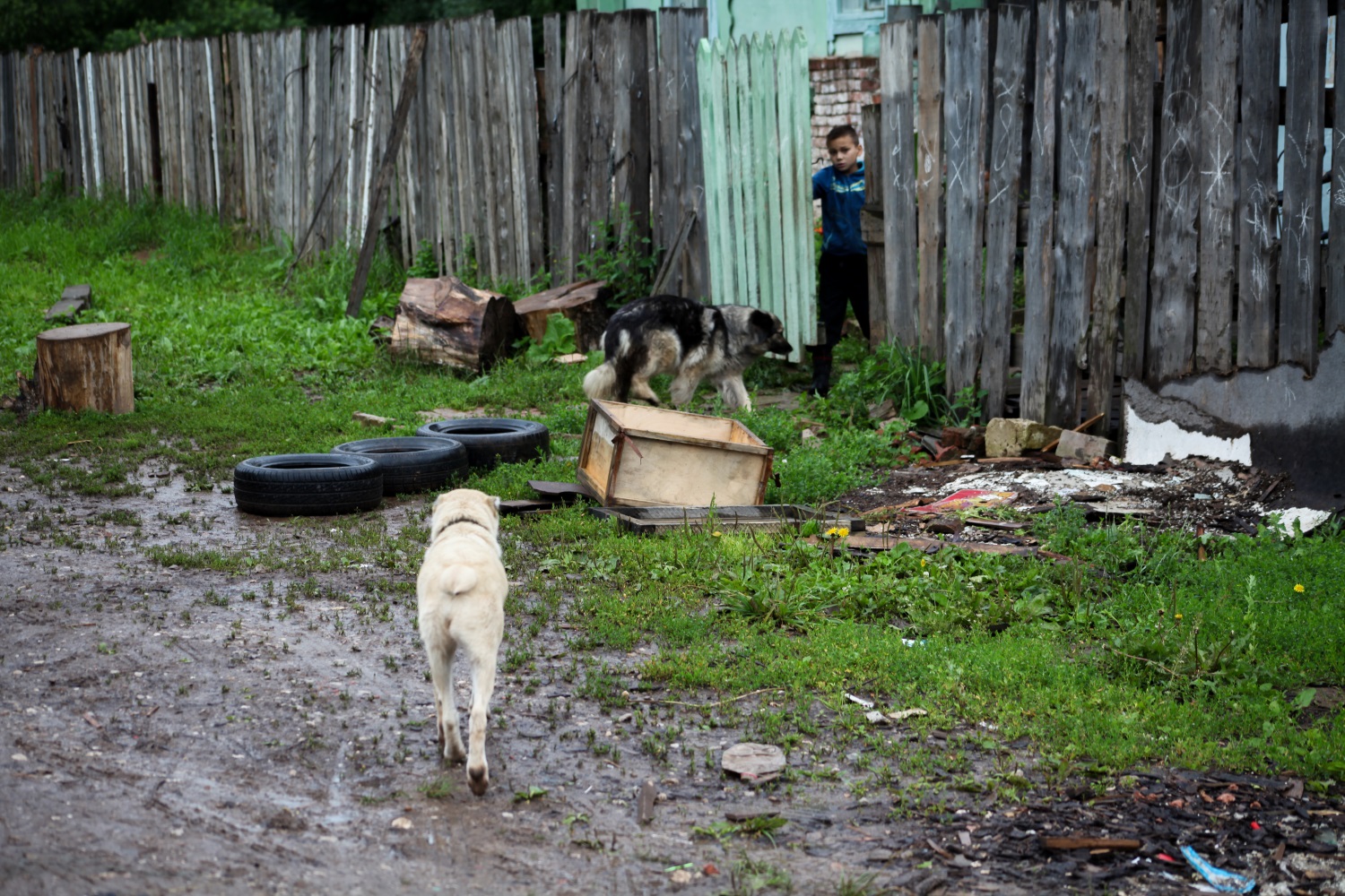 «Убивать будут всех»