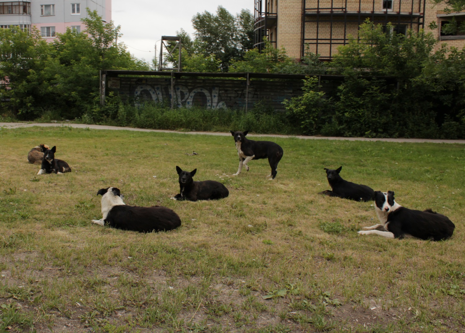 «Убивать будут всех»