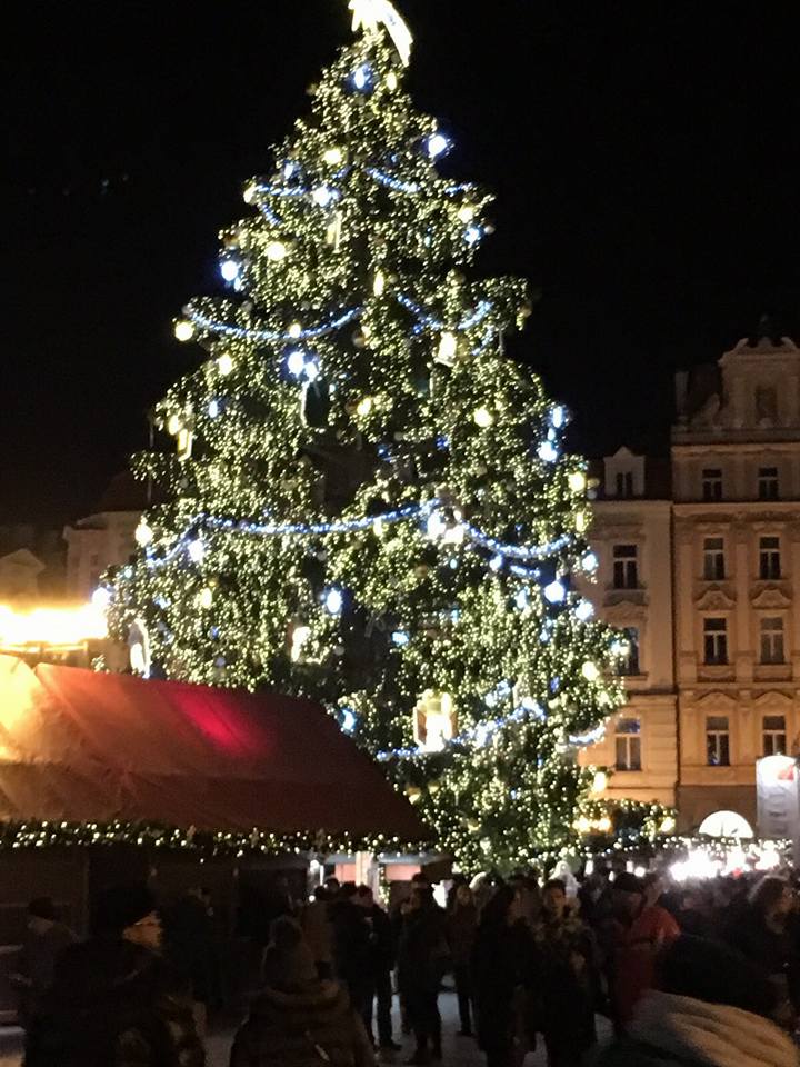 Отдохнул и за работу. Узнали, как провела новогодние праздники деловая элита Перми