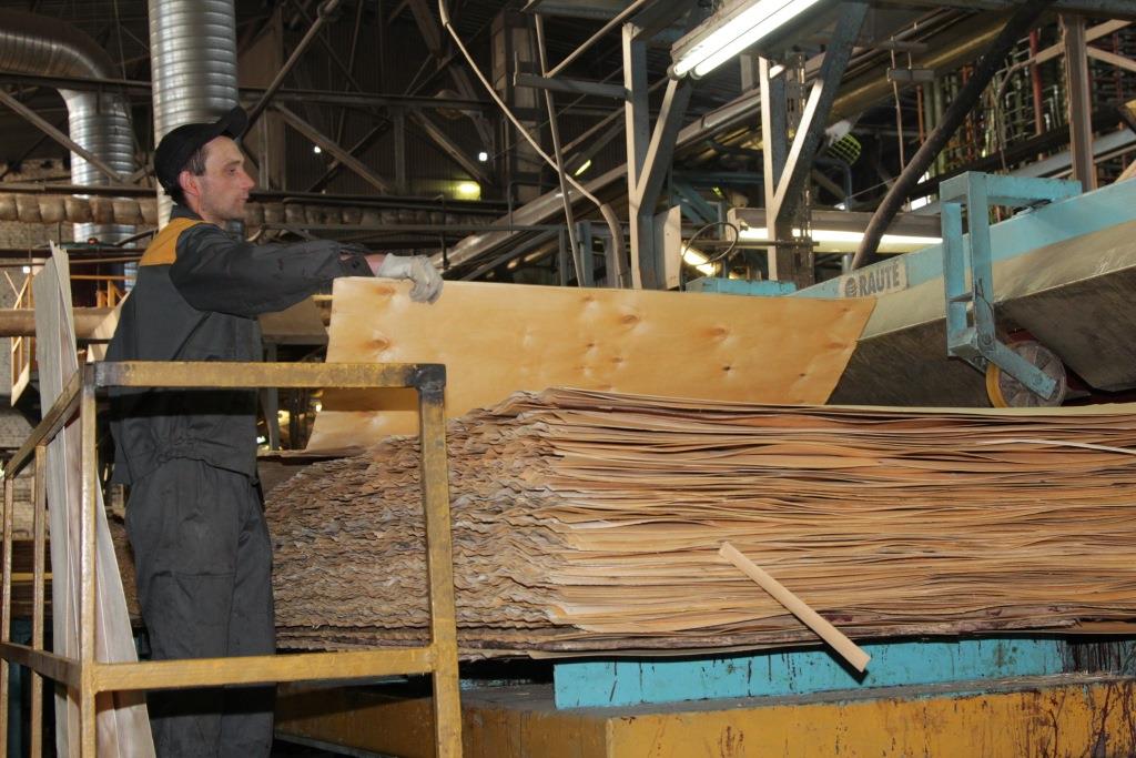 Восстановительная терапия. За год в Прикамье на 30% выросло количество новых компаний