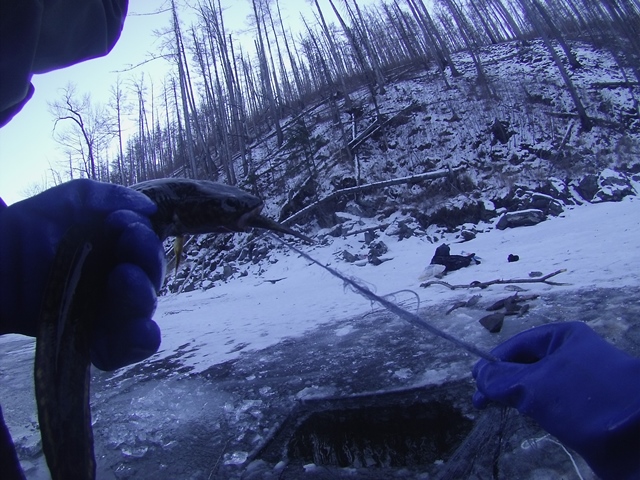 Глоток жизни. Рассказ об удивительном опыте путешествий по зимней Амурской тайге с местными охотниками-промысловикам