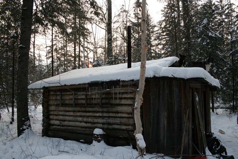 таежники промысловики сибирские охотники. рассказы охотников о необъяснимом в тайге. рассказы охотников промысловиков зимовье. промысловик соболятник в тайге. охотники промысловики в тайге.