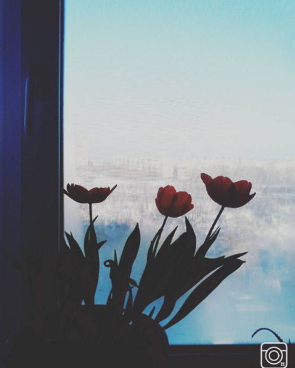Любовь в большом городе: День святого Валентина в пермском Instagram