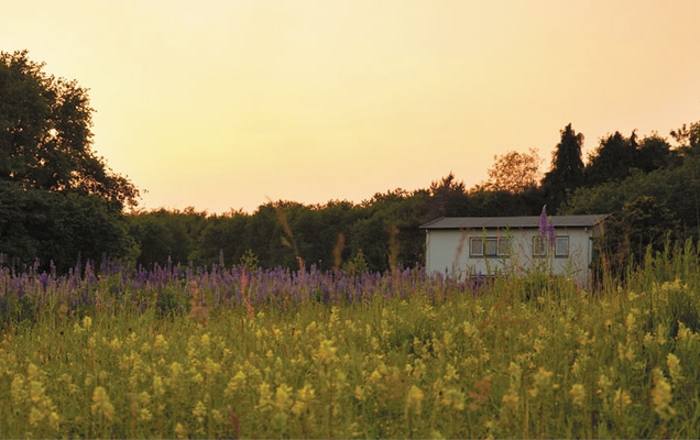 «Транс» и ненависть в Адищево