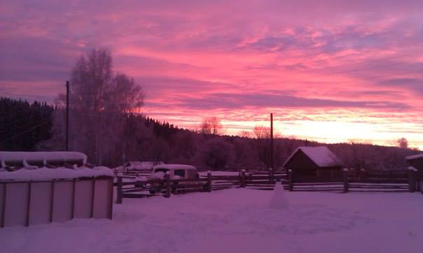 Беседы за чаем