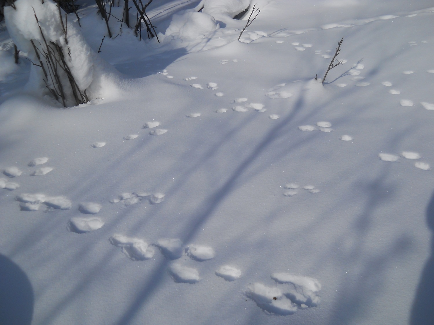 В заповеднике «Басеги» проснулся один из старейших вулканов Урала
