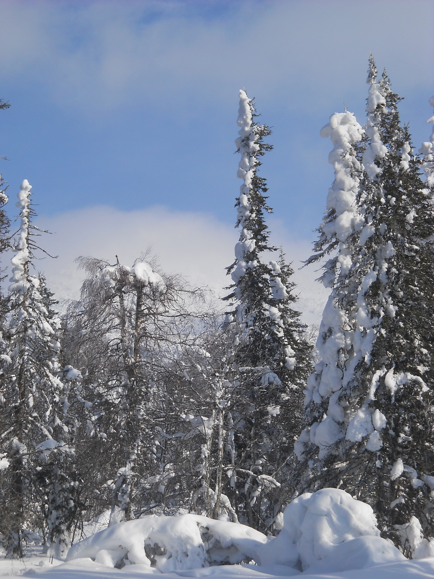 В заповеднике «Басеги» проснулся один из старейших вулканов Урала