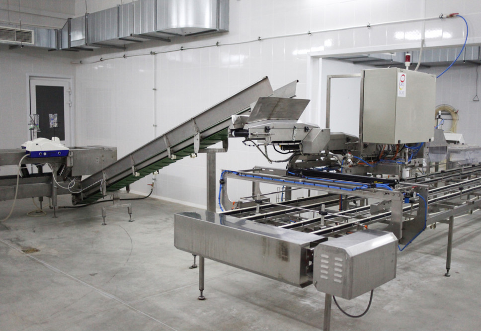 Бройлер другим наука