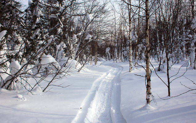 ​Кофе, дождь и антиквар
